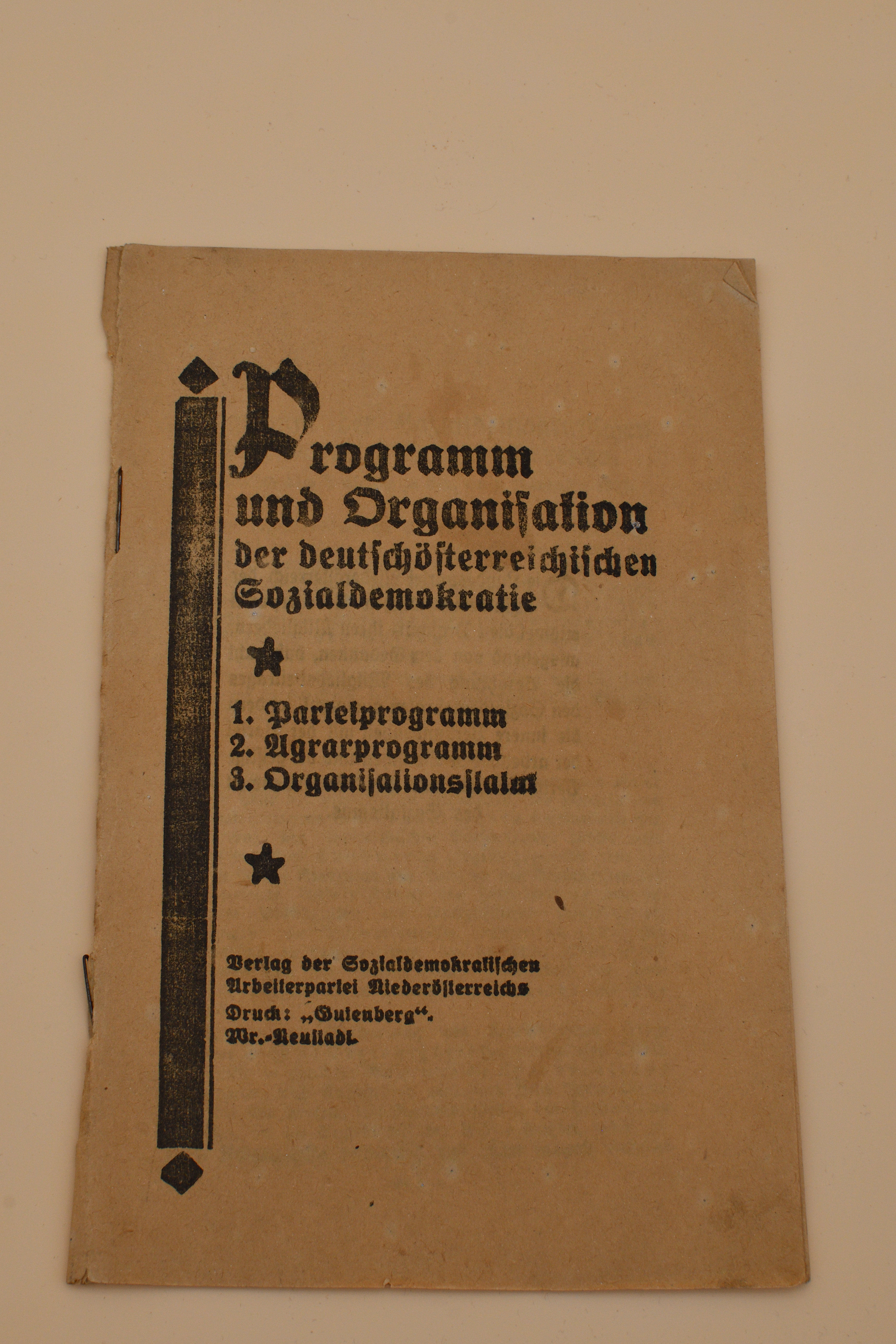 Programm und Organisation der deutschösterreichischen Sozialdemokratie